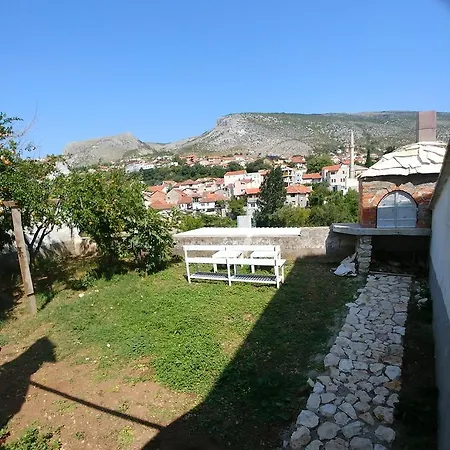 Dodo Mostar
